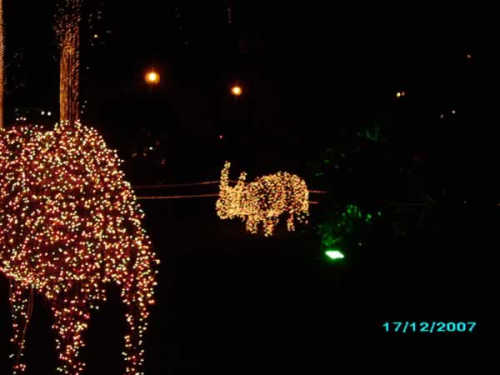 Natal