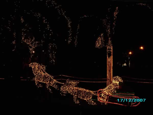 Natal