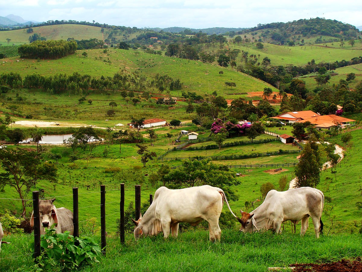 Fazenda à venda com belas pastagens, casa sede e paisagem privilegiada