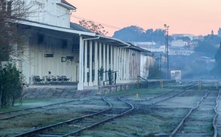 Geadas e termômetro abaixo de zero atingem região Sul; veja fotos
