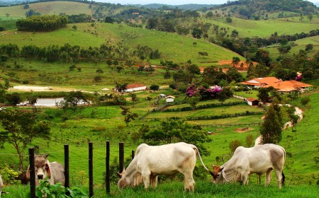 Fazenda à venda com belas pastagens, casa sede e paisagem privilegiada