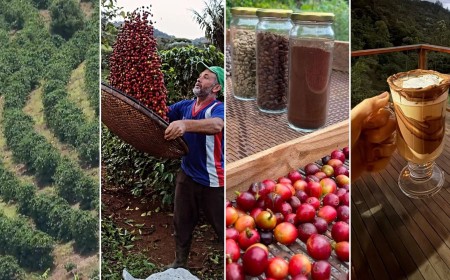 Do grão à experiência: como o Caparaó transforma café em produto turístico e amplia o potencial do Sul do ES